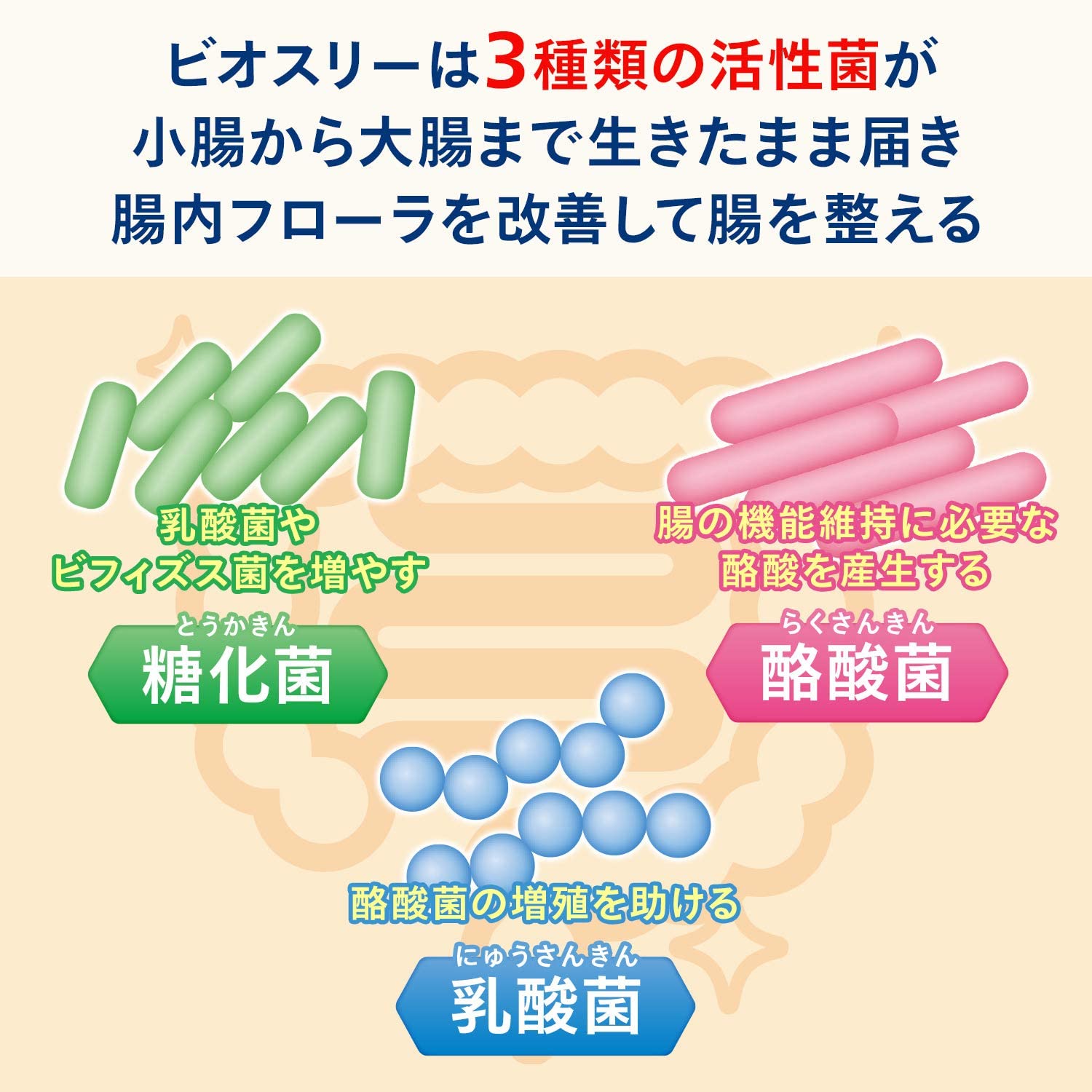 指定医薬部外品】ビオスリーHi錠 | マロニエ.com